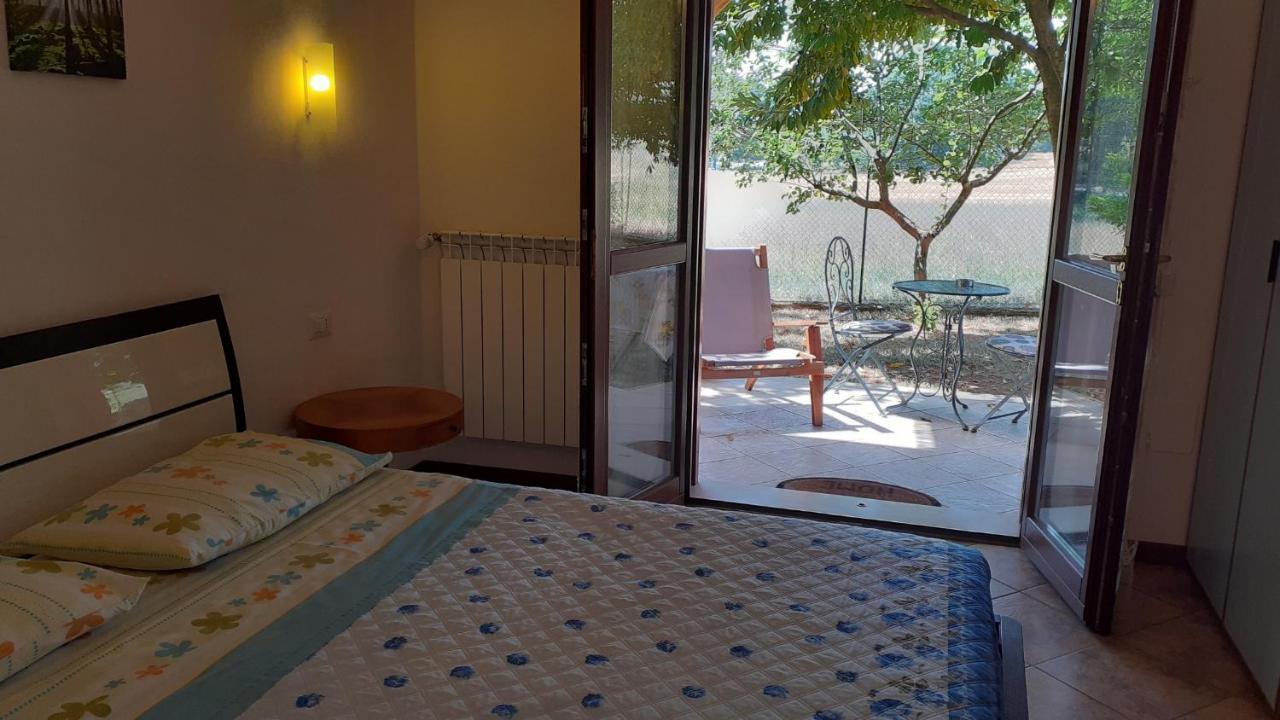 B&B Il Pizzagiallo Massa Martana Dış mekan fotoğraf