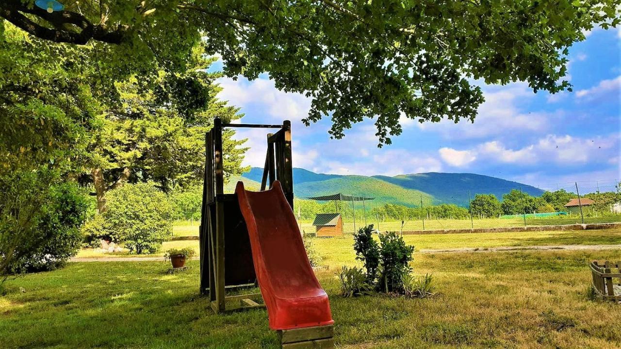 B&B Il Pizzagiallo Massa Martana Dış mekan fotoğraf