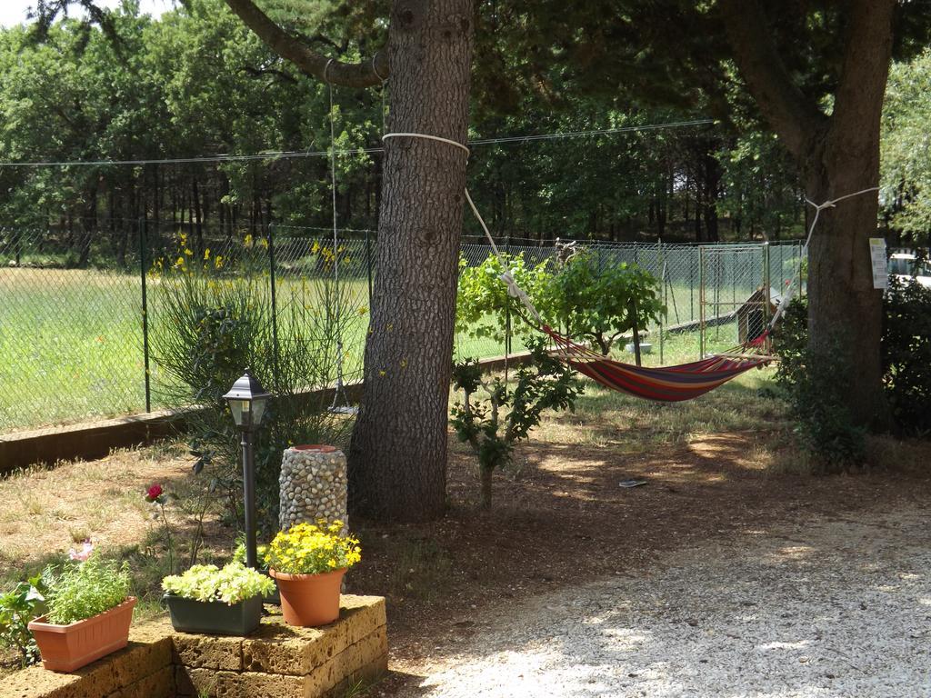 B&B Il Pizzagiallo Massa Martana Dış mekan fotoğraf