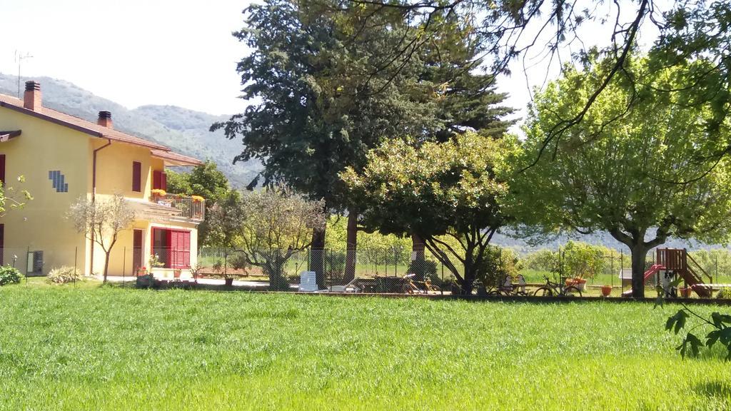 B&B Il Pizzagiallo Massa Martana Dış mekan fotoğraf