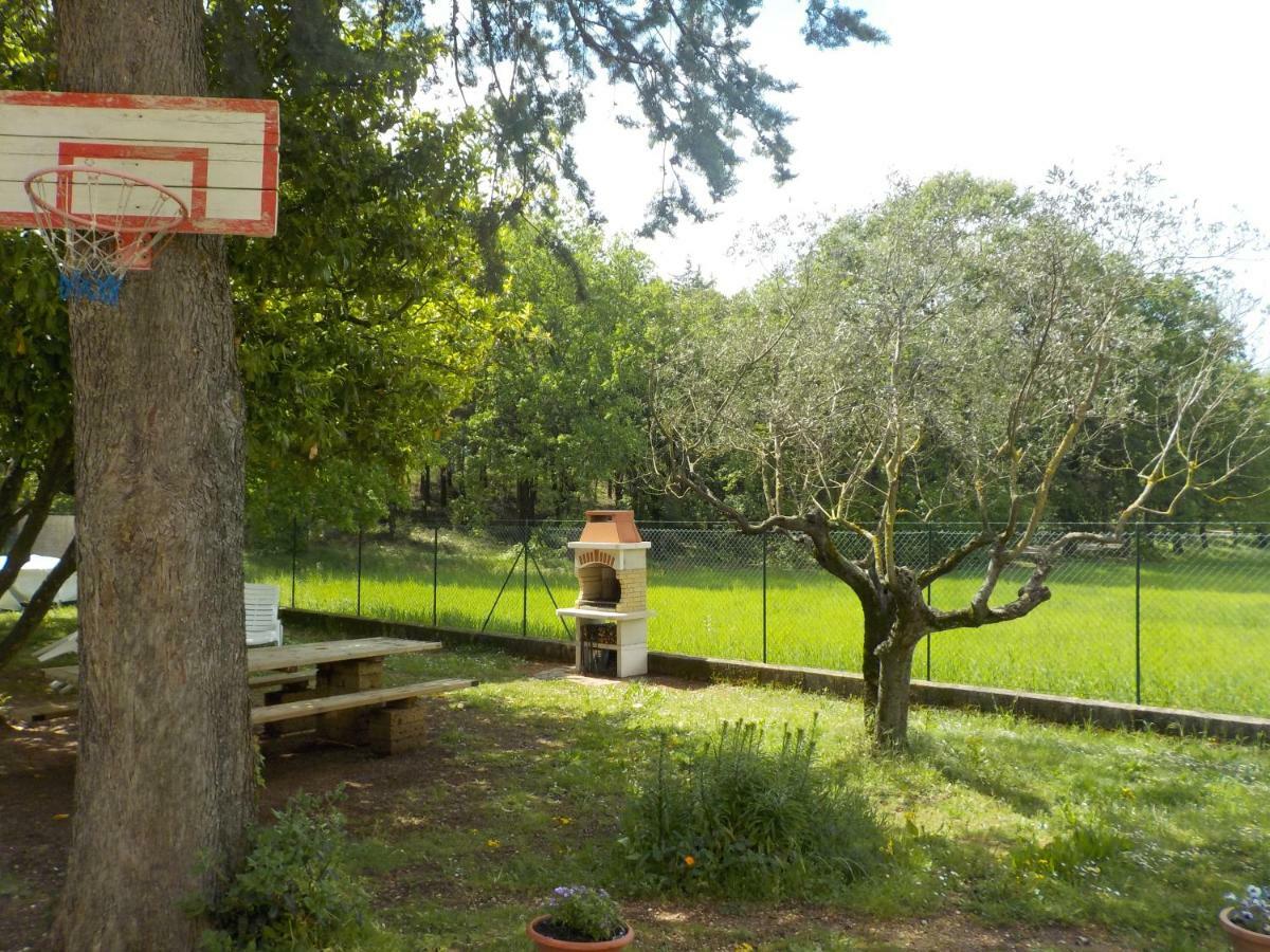 B&B Il Pizzagiallo Massa Martana Dış mekan fotoğraf