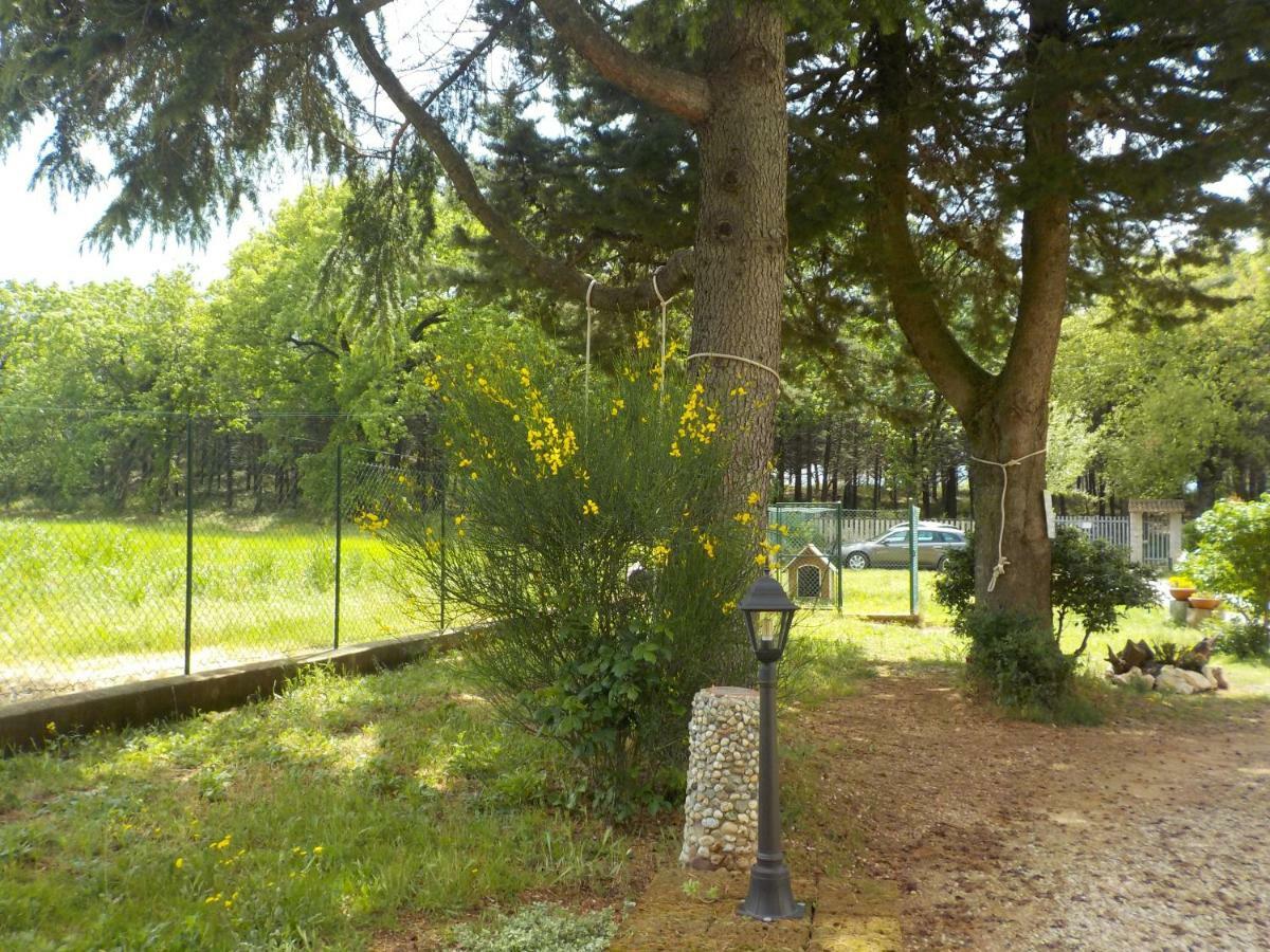 B&B Il Pizzagiallo Massa Martana Dış mekan fotoğraf